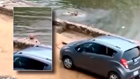 VIDEO: Hombre nada en laguna llena de cocodrilos en Tabasco y sobrevive de milagro