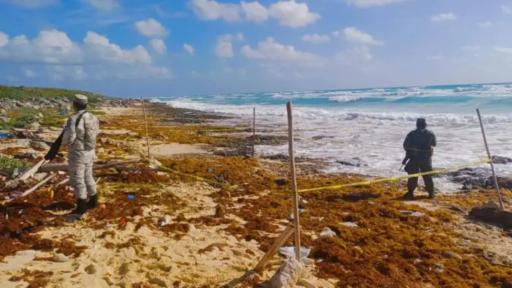 Elementos del Ejército Mexicano aseguran droga en Quintana Roo