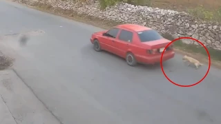 aztecaqueretaro.com (4).png