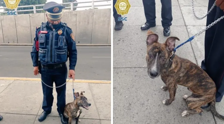 policia-perrito.jpg