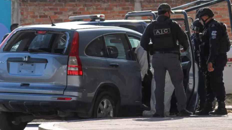 ficalia-celeya-cjng (1).jpg