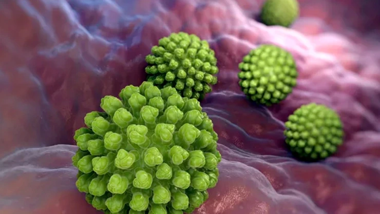 Rotavirus qué es