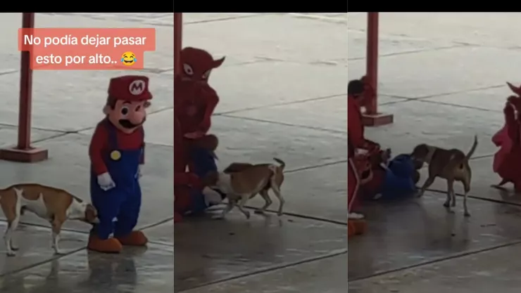 Perro ataca a Mario Bros