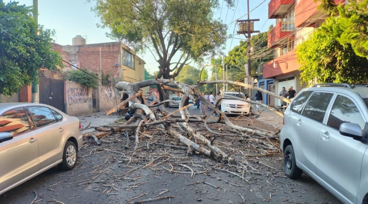 sismo cdmx hoy