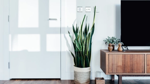 planta ideal departamento