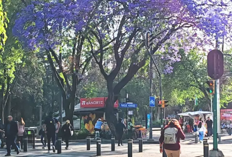 clima de hoy 6 de mayo.jpg