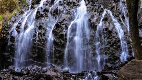 Cascadas en el Edomex