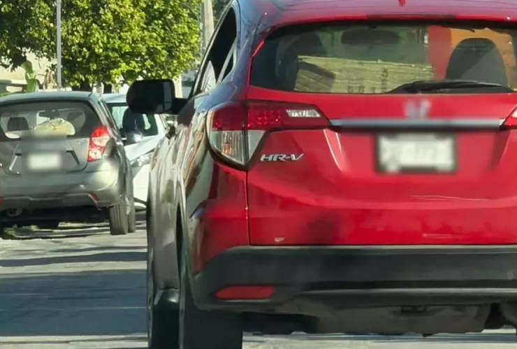 PORTADA conductor perrito en Mérida.jpg