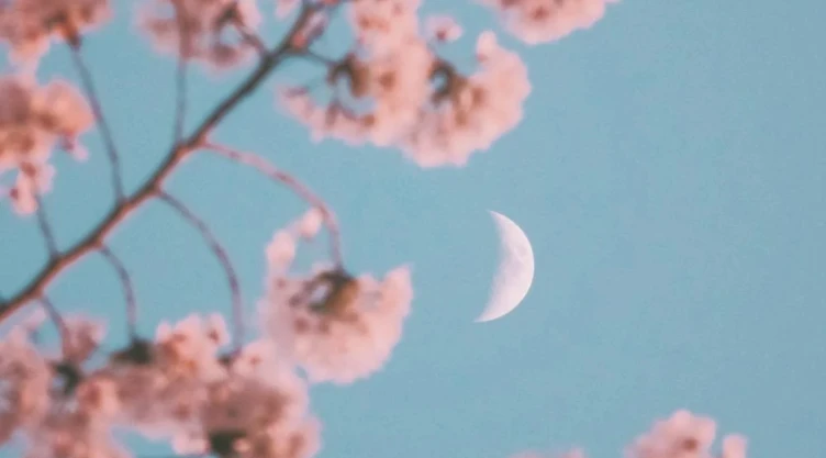 Luna-de-Flores-conjunciones-y-más-Mayo-llega-repleto-de-eventos-astronómicos