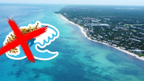Playas libres de sargazo en Quintana Roo HOY 22 de agosto de 2025_ Lista desde Holbox, Cancún y hasta Tulum.jpg