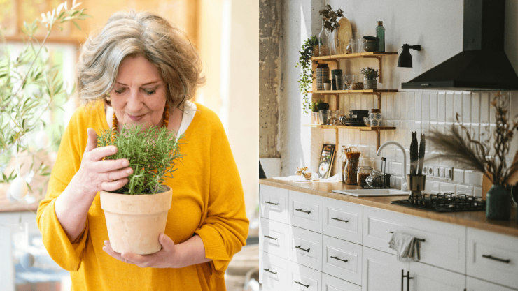 Así puedes implementar plantas en tu cocina para darle un toque verde.png