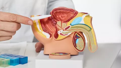 autoexploración testicular, cómo hacerla