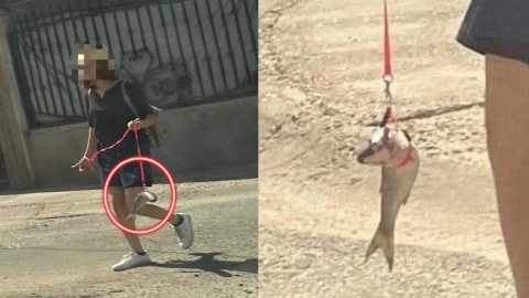 chica pasea a pez en Mexicali