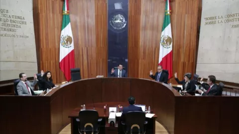 tribunal electoral paridad de género elecciones 2024