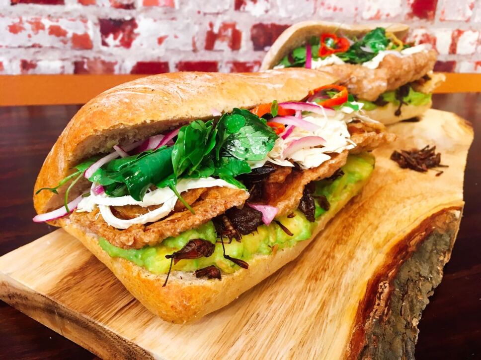 Guajolota de chicharrón, cocineros mexicanos