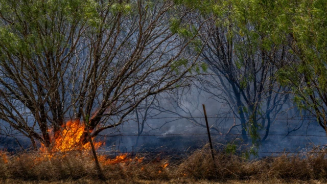 Calor en 2024 sería mucho mayor que en 2023 por culpa de El Niño-1.jpg