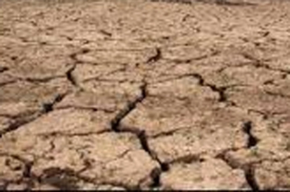 Suelos áridos