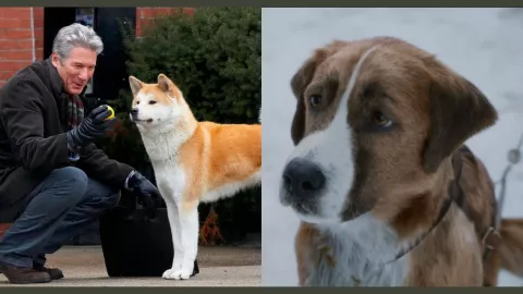 Azteca Siete: Horarios de las películas de perritos 4 de enero 2025