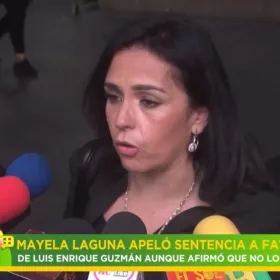 Mayela Laguna rompe su palabra y apela sentencia a favor de Luis Enrique Guzmán.jpg