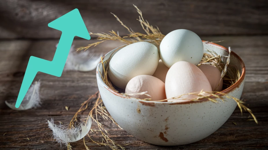 Por qué hay escasez de huevo en Estados Unidos y cómo afectará a Guanajuato?