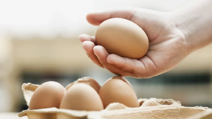 Este será el precio del kilo de huevo durante la primera semana de octubre de 2023