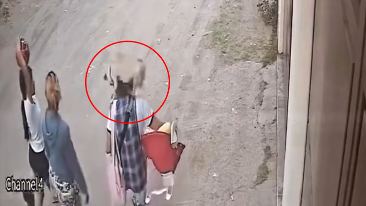 Perro pug cae sobre lacabeza de mujer