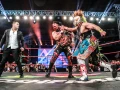 Lucha Libre AAA bull terrier match