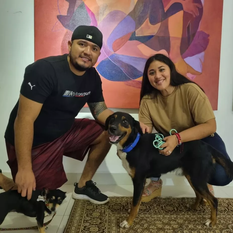 perrito maltratado es adoptado por nueva familia