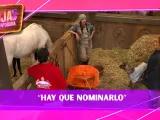 La Granja VIP Manelyk y Azalia han decidido a quién quieren sacar de la competencia.jpg