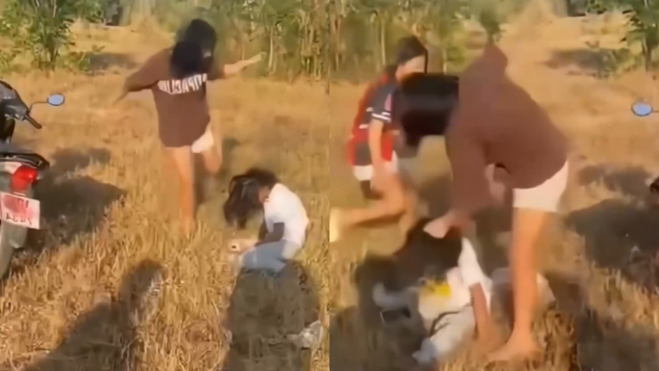 Pelea de mujeres