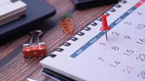 ¿Cuáles son los días de descanso obligatorio para el mes de marzo 2025 en Aguascalientes