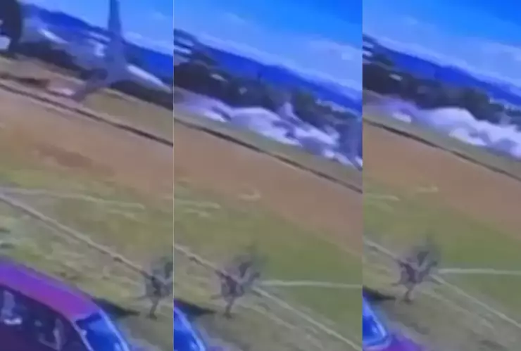 ¿Quién era la familia de beisbolistas que murieron en el accidente aéreo de Toluca?.webp