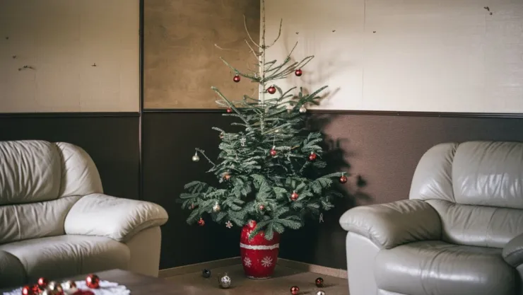 Este el significado de no poner el árbol de Navidad durante diciembre.jpg