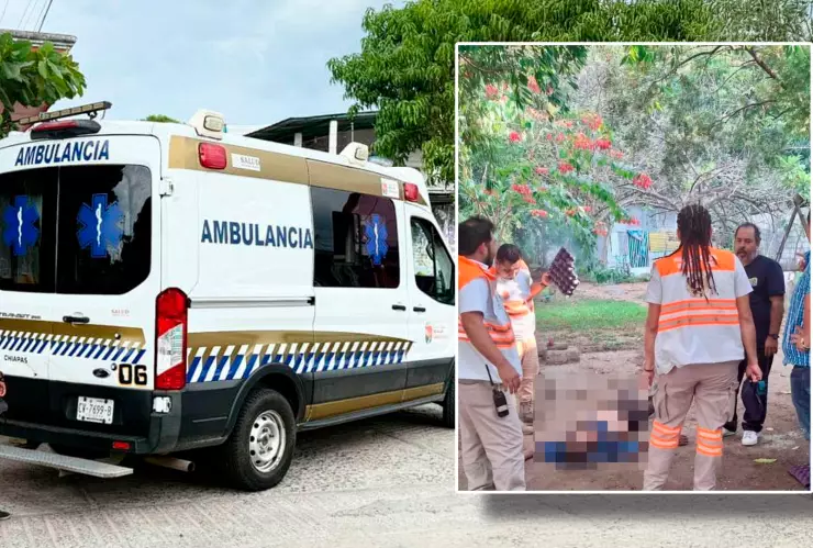 Adulto mayor muere tras ataque de abejas en Huixtla