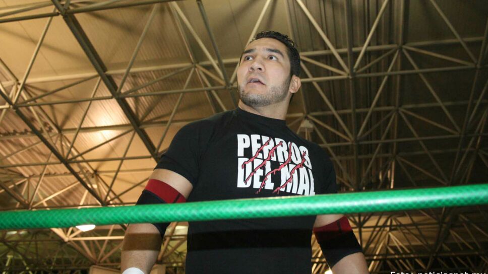 Perro Aguayo