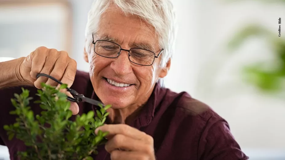 ¿Cuáles son los mejores días para sembrar o podar las plantas?