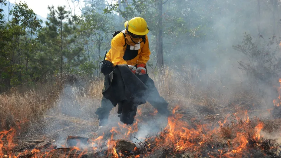 Incendios forestales1_edomex.jpg