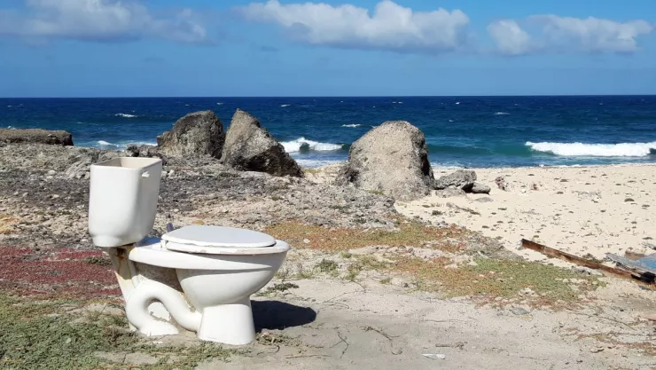 Se hizo pasar por gurú obligaba a sus seguidores a comer excremento