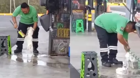 Empleado de gasolinera baña a perro callejero por el calor y se viraliza en TikTok; video.jpg