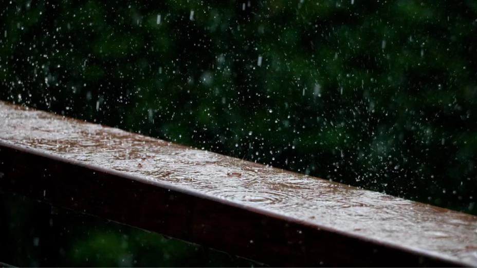 Lluvias (1).png