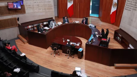 TEPJF perfila tumbar sanciones contra activista Emma Zermeño por chats privados filtrados