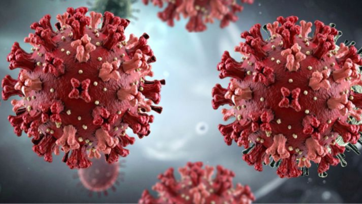 Hantavirus