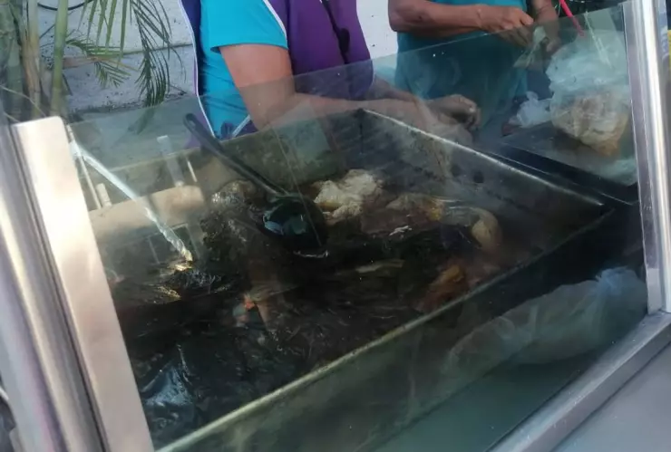 casos de salmonelosis en yucatan aumentan por el calor