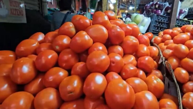 Precio kilo tomate Veracruz hoy