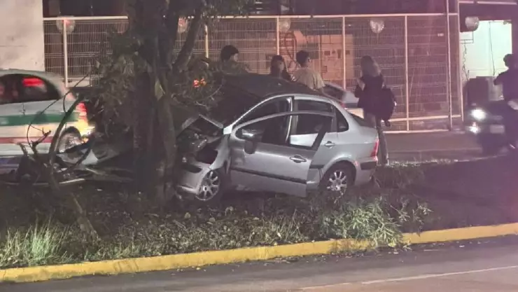 ¡Aparatoso! Vehículo se estrella contra árbol en avenida de Xalapa ¿Cómo ocurrió?