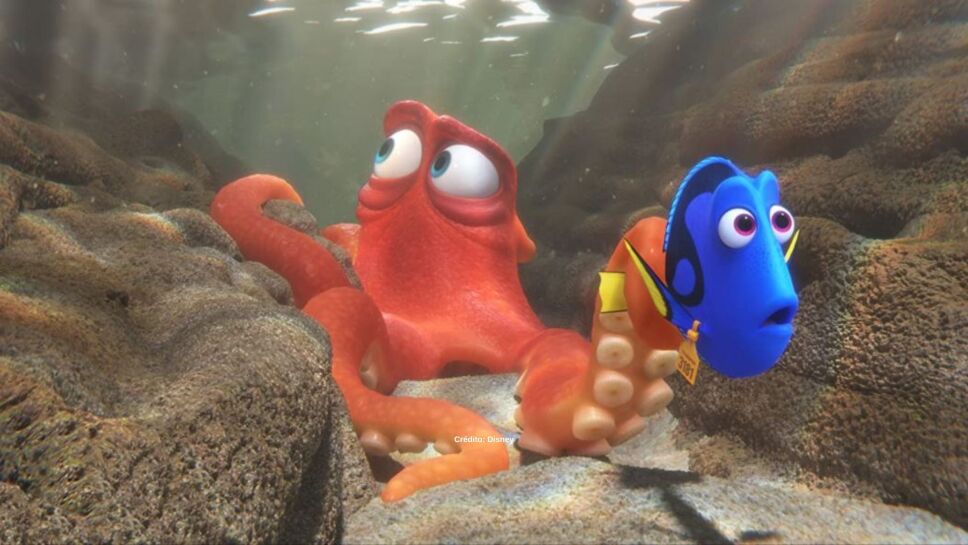 buscando-a-dory-1.jpg