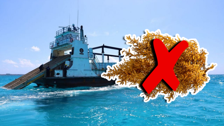 Conoce las playas libres de sargazo en Quintana Roo HOY 23 de septiembre de 2025_ Lista desde Holbox, Cancún, Tulum a Xcalak.jpg