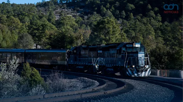  ¿Cuánto cuesta viajar en el Chepe Express?  