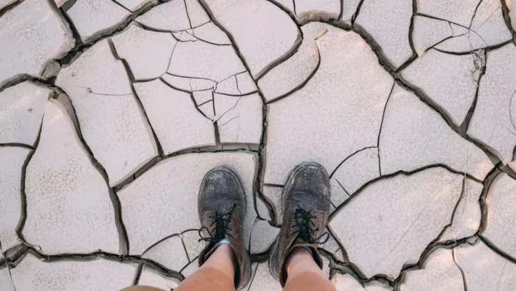 simulacro nacional 2024.jpg