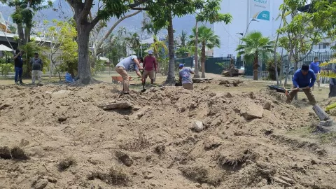 reforestación de acapulco